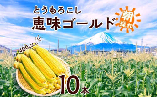 とうもろこし 恵味 ゴールド 400g以上 × 10本 高糖度 トウモロコシ スイートコーン 玉蜀黍 イエローコーン 黄 夏野菜 甘い ジューシー 野菜 おやつ 旬 産地直送 送料無料 湖南野菜出荷組合 山梨県 富士河口湖町 FEM003 2132917 - 山梨県富士河口湖町