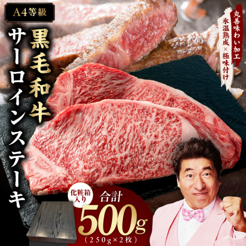 【A4ランク】黒毛和牛 サーロインステーキ 500g 化粧箱入り【氷温熟成×極味付け 250g×2 牛肉 ギフト プレゼント 贈り物】 mrz0139 2133039 - 大阪府泉佐野市