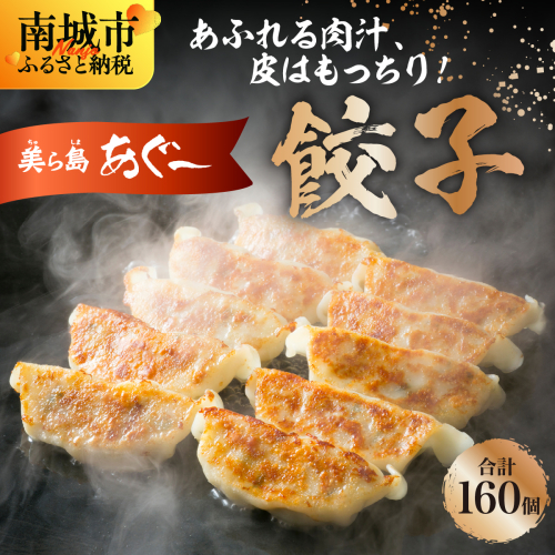 【美ら島あぐ～】餃子（160個入り／8パック×20個入り） 2133060 - 沖縄県南城市