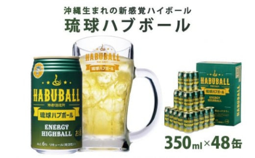 琉球ハブボール350ml 48缶(2ケース) 2133106 - 沖縄県南城市
