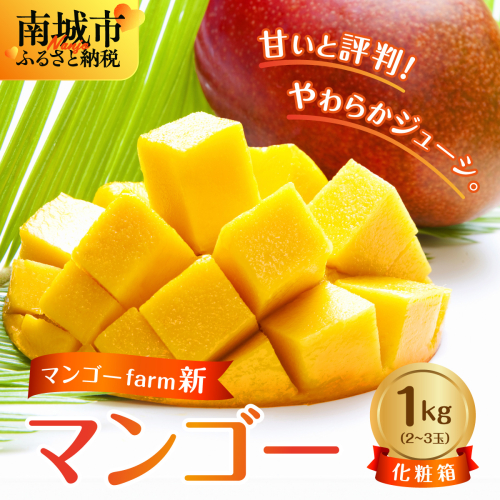 (2026年発送・先行予約)【マンゴーfarm新】 沖縄県南城市産マンゴー化粧箱1kg 2133118 - 沖縄県南城市