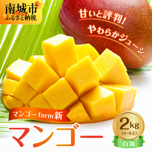 (2026年発送・先行予約)【マンゴーfarm新】 沖縄県南城市産マンゴー白箱2kg 2133120 - 沖縄県南城市
