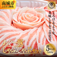 ＜5セット＞まつもと自慢のあぐー豚しゃぶしゃぶセット
