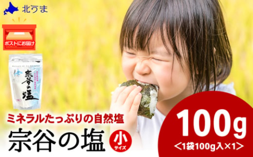宗谷の塩100g×1袋