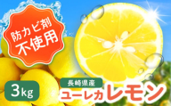 【ご家庭用】 ユーレカレモン 3kg 長与町/果豊園 [ECL006]