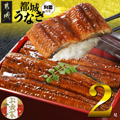 【お歳暮】宮崎県育ちのうなぎ蒲焼2尾300g以上≪山椒・たれ付≫≪11月17日～12月21日お届け≫_13-M301-WG 2133616 - 宮崎県都城市