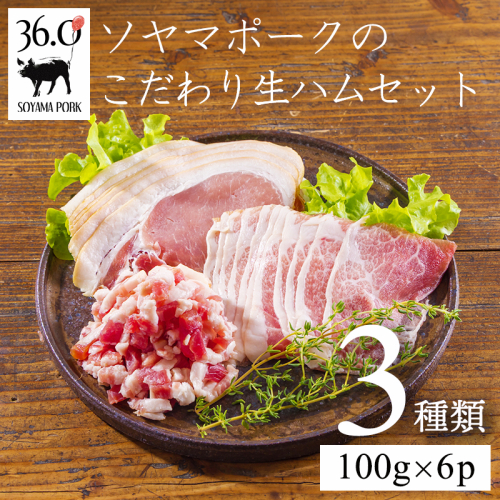 ソヤマポークのこだわり生ハム3種セット[ロース バラ モモ パンチェッタ ベーコン おつまみ パーティー 宮崎県産 豚肉]]TF0827-P00078 2133618 - 宮崎県高原町