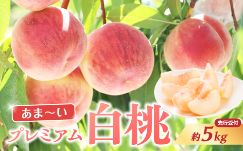 ≪先行受付≫ 甘～い プレミアム白桃 約5kg【2025年8月中旬頃～発送予定】 060-015 2133621 - 山形県大江町