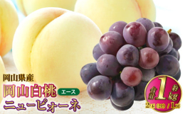 岡山を代表する果物、白桃とニューピオーネの詰め合わせです。「岡山白桃」とは、JAおかやまに所属する各選果場で、光センサーによる糖度選別された白桃のみが、「岡山白桃」として出荷されます。発送時期に応じて