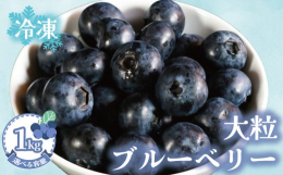 4月~5月が旬の大粒ブルーベリーが冷凍になりました！生ブルーベリーのパリッとした食感とは違い、シャリシャリとアイスのような食感を楽しめます。【ブルーベリーの効果】◯老化対策に！◯血圧の上昇を抑制！◯心