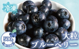 4月~5月が旬の大粒ブルーベリーが冷凍になりました！生ブルーベリーのパリッとした食感とは違い、シャリシャリとアイスのような食感を楽しめます。【ブルーベリーの効果】◯老化対策に！◯血圧の上昇を抑制！◯心
