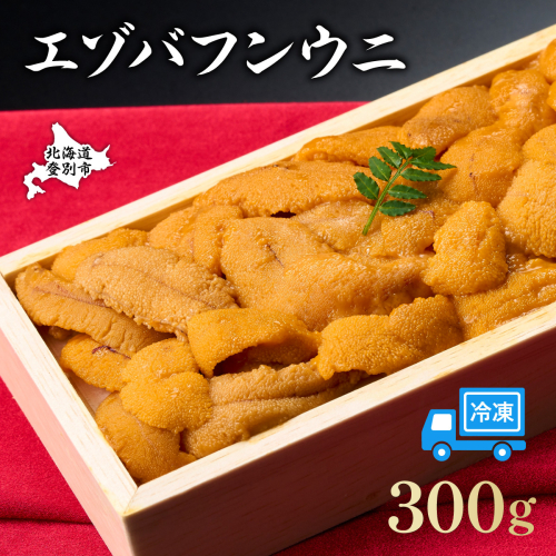 うに 冷凍 エゾバフンウニ 折詰 300g 登りうに | ふるさと納税 うに 雲丹 海鮮 高級 ウニ 生ウニ エゾバフンウニ 折り詰め ギフト 北海道 登別 ふるさと 人気 ランキング 送料無料 2133779 - 北海道登別市