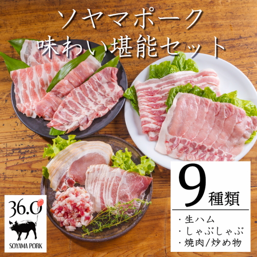 ソヤマポーク味わい堪能3種セットTF0830-P00078 2133841 - 宮崎県高原町