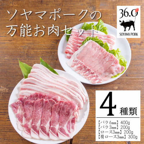 ソヤマポークの万能お肉セット1.1kg[ロース バラ 肩ロース 焼肉 炒め物 生姜焼き用 バーベキュー 小分け 宮崎県産 豚肉]TF0831-P00078 2133843 - 宮崎県高原町