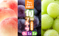 ＜発送月固定定期便＞桃3玉　黒ぶどう1房(500g以上)シャインマスカット1房(500g以上)全3回【4067605】