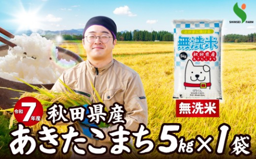 令和7年産秋田県産あきたこまち(無洗米)5kg 40P9206　/ 米 無洗米 5kg 白米 令和7年産 秋田県産 あきたこまち 5kg×1袋 おにぎり 大館 東北 秋田 小分け こわけ 大館市 5キロ 5ｷﾛ 5きろ