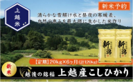 令和7年産 先行予約 新潟県上越産こしひかり 精米 20kg 6か月定期便 上越市 米 コメ コシヒカリ