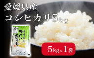 米 こめ お米 おこめ コシヒカリ こしひかり 5kg 白米 ごはん 四国中央市 愛媛県 おいしい ふっくら 【四国中央市 紙のまち 日本一】