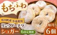 【全6回定期便】ふわもちリングドーナツ　6個セット（シュガー味）桂川町/Mio:Donut [ADBH064]