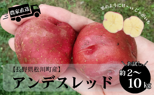 HF48-25B【信州松川町産】じゃがいも アンデスレッド 約2kg／8月中旬～10月下旬頃 配送予定 / 長野県 南信州  減農薬栽培 じゃがいも ジャガイモ   エコファーマー認証 農家支援  2135122 - 長野県松川町