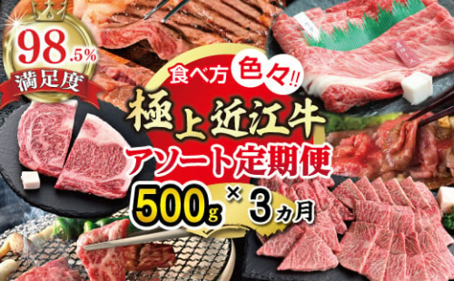 【期間限定】極上近江牛500g　食べ方色々！アソート定期便【ZZ49U】 2135152 - 滋賀県近江八幡市