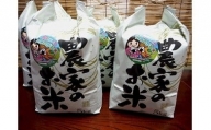 新潟県糸魚川産コシヒカリ 20㎏ 農家直送 美味しいお米をお届けします！