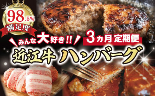【期間限定】みんな大好き　ハンバーグ定期便【ZZ51U】 2135232 - 滋賀県近江八幡市