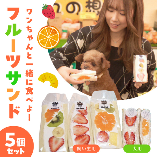 甘さ控えめ！八百屋が厳選したワンちゃん＆飼い主様フルーツサンドセット 5個セット フルーツ フルーツサンド 犬 愛犬 一緒 果物 くだもの H151-012 2135235 - 愛知県碧南市