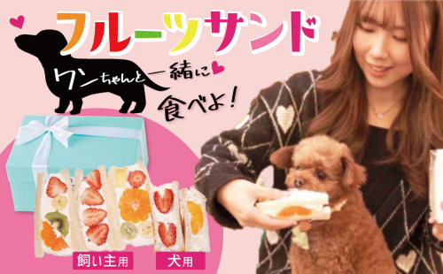 甘さ控えめ！八百屋が厳選したワンちゃん＆飼い主様フルーツサンドセット 5個セット フルーツ フルーツサンド 犬 愛犬 一緒 果物 くだもの H151-012 2135235 - 愛知県碧南市