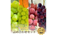 ご家庭用!おすすめ感謝7房セット　3kg詰め合わせ [№5385-0514]