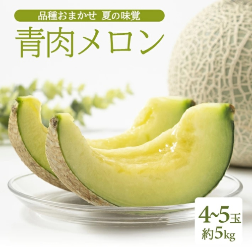 SB0689　庄内砂丘 『品種おまかせ青肉メロン』　約5kg(4～5玉入) 2135485 - 山形県酒田市