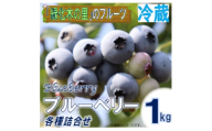 ＜先行予約/冷蔵＞ブルーベリー1kg(各種詰合せ)【1608646】