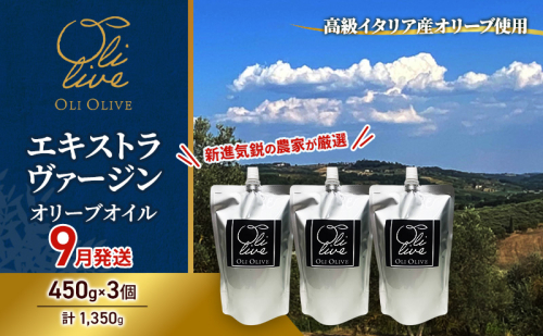 高級イタリア産 エキストラ・ヴァージン・オリーブオイル 450g×3個【2026年9月中旬より順次発送】調味料 油 オリーブ油 食用油 静岡県 袋井市 2136135 - 静岡県袋井市