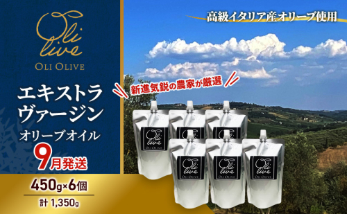 高級イタリア産 エキストラ・ヴァージン・オリーブオイル 450g×6個【2026年9月中旬より順次発送】調味料 油 オリーブ油 食用油 静岡県 袋井市 2136138 - 静岡県袋井市