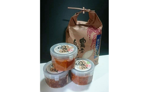 みそ 味噌 国津みそ コシヒカリ セット 白 黒 青大豆 米麹 三重県 名張市 伊賀 発酵 国産 ギフト 詰め合わせ 白米 おみそ 手作り 国産大豆 米みそ 発酵食品 健康 腸活 手づくり 三重 赤みそ 合わせ味噌 白みそ 料理 お取り寄せ 2136240 - 三重県名張市
