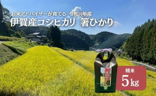 先行販売！令和8年度産　伊賀産コシヒカリ　極上　箸ひかり(精米)5kg コシヒカリ 3年連続 特A 米 こしひかり ご飯 ごはん 白米 精米 三重県 名張市 2136241 - 三重県名張市