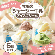 京都・京丹後おすすめアイス3種定期便
