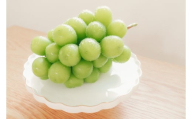 【2025年先行予約】シャインマスカット 約1.5kg(3房)｜ 果物 フルーツ 白ぶどう 葡萄 ブドウ 種無し 種なし 皮ごと 千曲市 長野県 信州