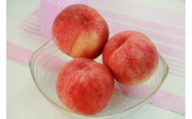 【2025年先行予約】桃(品種おまかせ)  約3kg｜ 果物 フルーツ もも モモ 白桃 白鳳 特産品 千曲市 長野県 信州