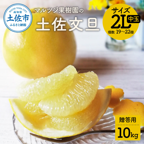 【先行予約】マルツジ果樹園の土佐文旦 贈答用(中玉) 約10kg 10キロ 2Lサイズ 19～22個入り ぶんたん ブンタン フルーツ 柑橘 みかん 果物 くだもの 柑橘類 デザート お取り寄せ 国産 2136473 - 高知県土佐市