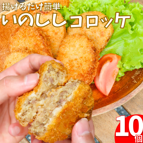 いのししコロッケ 10個 猪 イノシシ ジビエ 揚げるだけ 簡単 調理 時短 惣菜 2136475 - 高知県佐川町