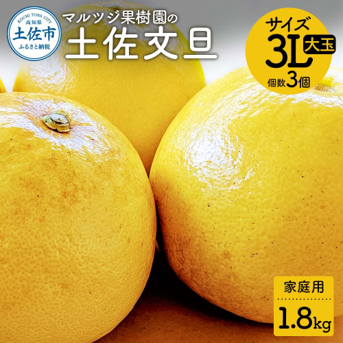 【先行予約】マルツジ果樹園の土佐文旦 家庭用(大玉) 約1.8kg 1.8キロ 3Lサイズ 3個入り ぶんたん ブンタン フルーツ 柑橘 みかん 果物 くだもの 柑橘類 デザート ご自宅用 ご家庭用 お取り寄せ 国産 2136476 - 高知県土佐市