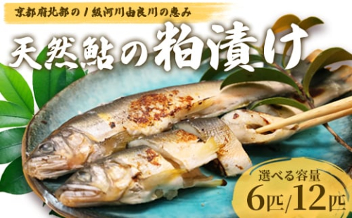 天然鮎の粕漬け 6匹/12匹 【 由良川漁協 あゆ 鮎 アユ 魚 魚介 川魚 海鮮 漬け魚 粕漬け 酒粕 天然 大人 贅沢 おつまみ 酒の肴 珍味 舞鶴 京都 】 2136532 - 京都府舞鶴市