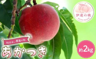 桃井あい農園の桃 あかつき 約2kg（6~8玉）桃 もも モモ 果物 F21C-205