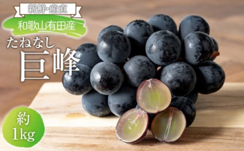 [新鮮・産直]和歌山有田産のたねなし巨峰約1kg★2025年8月上旬頃より順次発送 2136614 - 和歌山県有田川町