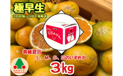 等級混合 極早生 有田 みかん L ～ SS サイズ 3kg 南泰園 和歌山 有田みかん 2136837 - 和歌山県有田川町