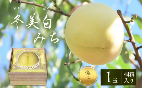 桃 2025年 先行予約 白桃 冬美白 とうびはく 極上1玉 「みち」  桐箱入り もも モモ 令和7年 岡山 赤磐市産 国産 フルーツ 果物 ギフト 果肉 しっかり 柔らかい 食感 大変貴重 高糖度 栽培方法 2136838 - 岡山県赤磐市