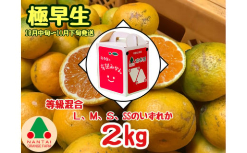 等級混合 極早生 有田 みかん L ～ SS サイズ 2kg 南泰園 和歌山 有田みかん 2136839 - 和歌山県有田川町