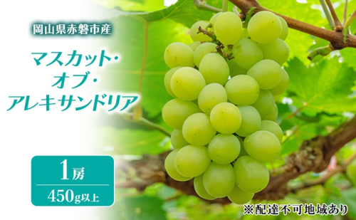 ぶどう 2026年 先行予約 マスカット・オブ・アレキサンドリア 1房 450g以上 ブドウ 葡萄 岡山県 赤磐市産 フルーツ 果物 ギフト 果物類 種あり品種 2136851 - 岡山県赤磐市