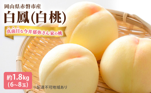 桃 2025年 先行予約 真面目な今井郁弥さん家の桃 白桃 白鳳 約1.8kg 6～8玉 フルーツ 果物 岡山 赤磐市産 2136853 - 岡山県赤磐市